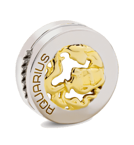 CHARMS ZODIAC AQUARIUS