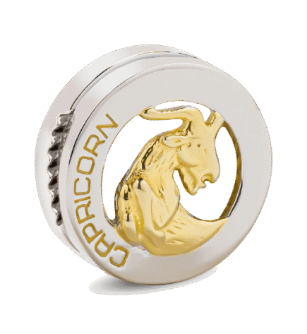 CHARMS ZODIAC CAPRICORN